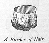 A Border of Hair.