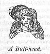 A Bull-head.