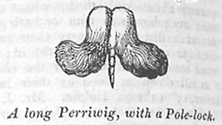 A long Perriwig, with a Pole-lock.